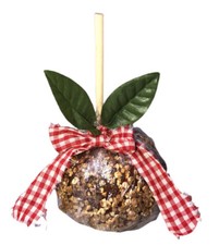 Caramel Apple With Nuts  Large  Faux Food. New Handmade Covered In Plastic Wrap