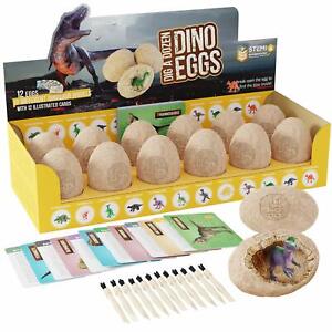 Buddel Ein Dutzend Dino Eier Kit 12 Einzigartige Dinosaurier Eier Und Entdecken 12 Niedlichen Dinosaurier Ebay