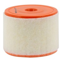 Filtron AR 371/6 Luftfilter FüR Audi