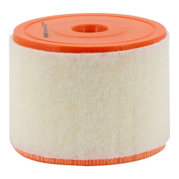 Filtron AR 371/6 Luftfilter FüR Audi-image