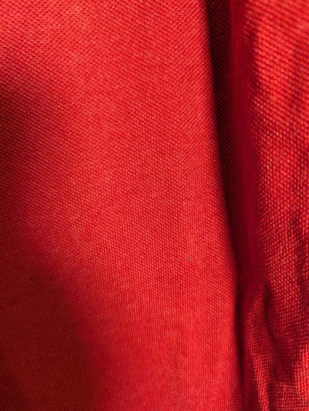 FatFace Coastal Pioneers Red Polo Shirt Size L Mens Casual image 6