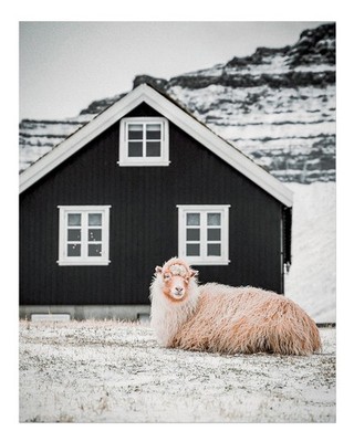 Rustikale Winter-Schaf-Wandkunst f�r gem�tliche Wohnkultur