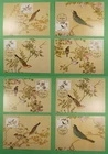 DR WHO TAIWAN CHINA 8 FDC BIRD MAXIMUM CARD R41637