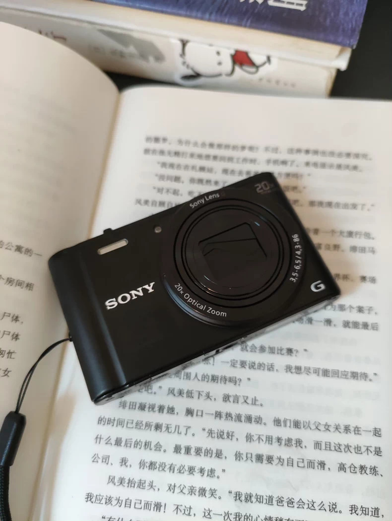 SONY Cyber-shot DSC-WX350 18.2 MP 20x Digital Zoom Digital Camera