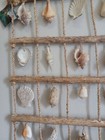 Bild 3 von 6
