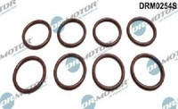 Original Dr.Motor Automotive Dichtring DüSenhalter DRM0254S FüR Opel