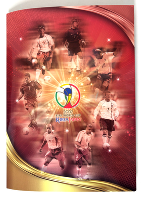 FIFA WORLD CUP KOREA JAPAN 2002 CARDS Full Set 209/209 + Binder