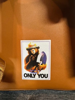 Smokey the Bear Mini Backpack (707 Street Exclusive) Limited  display picture 1