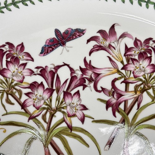 Vintage Portmeirion Botanic Garden Oval Platter, Mexican Lily Serving Dish - Picture 5 of 13