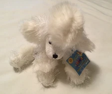 Ganz Webkinz White Poodle Plush Unused Code New