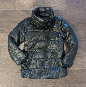 gap shiny puffer