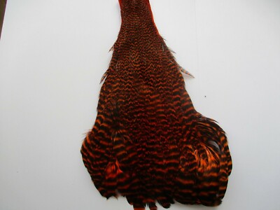 hen neck cape genetic orange grizzly hackle feathers fly tying materials 