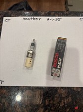 4219 Bosch Platin Spark Plug WR8DPX