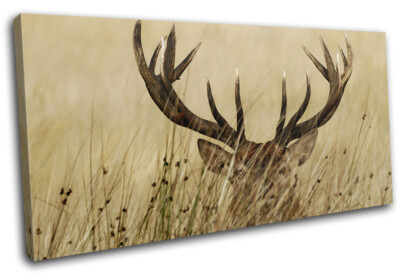 Stag in Grass Cream Sepia Deer Elk Animals SINGLE Leinwand Kunst Bild drucken