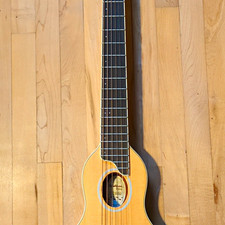 Washburn Rover R0DTSK-A Parlor 6-String Mahogany Acoustic Guitar Natural +Bag