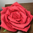 Foto 2 di 12