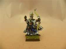 Warhammer painted High Elf Hero with Longbow