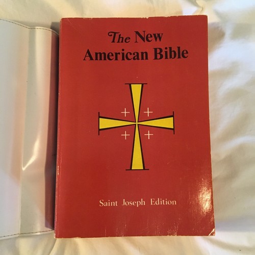The New American Bible: St. Joseph Edition - Illustrated, Large Type Denim Dust - Picture 2 of 4