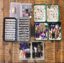 Fly Fishing Flies Assortment 