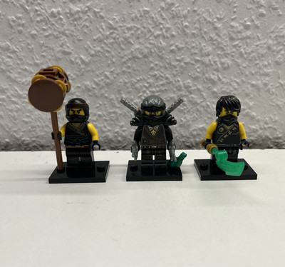 LEGO Ninjago Minifiguren von Cole