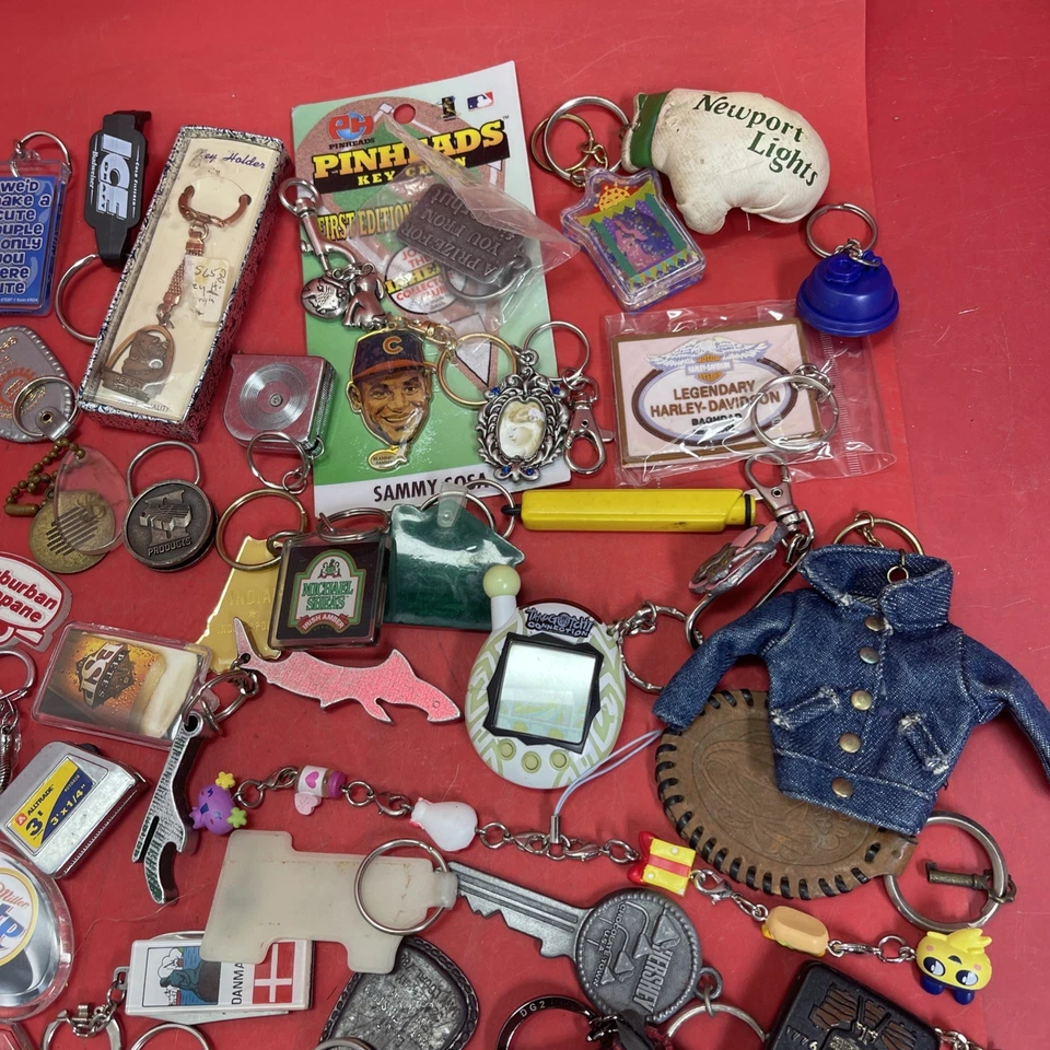 Huge keychains lot Keyrings Fobs Backpack Charms Purse Handbag Pendants. #12 - Image 4 of 4