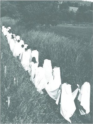 Eliane Radigue Opus 17 (CD) Album