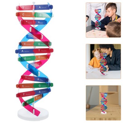 Experimentelle Ausrüstung Wissenschaft Doppelhelix Science Decor