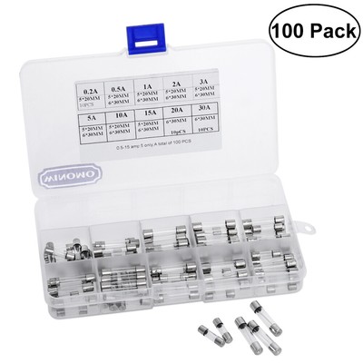 100pcs 10 Values Fast-blow Glass Fuses Quick Blow Car Glass Tube Fuses Assorted