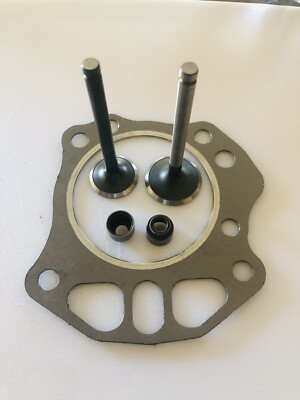 EZGO  Rxv  Intake And Exhaust Valve Kit For 2008 & Up With Head Gasket And Seals