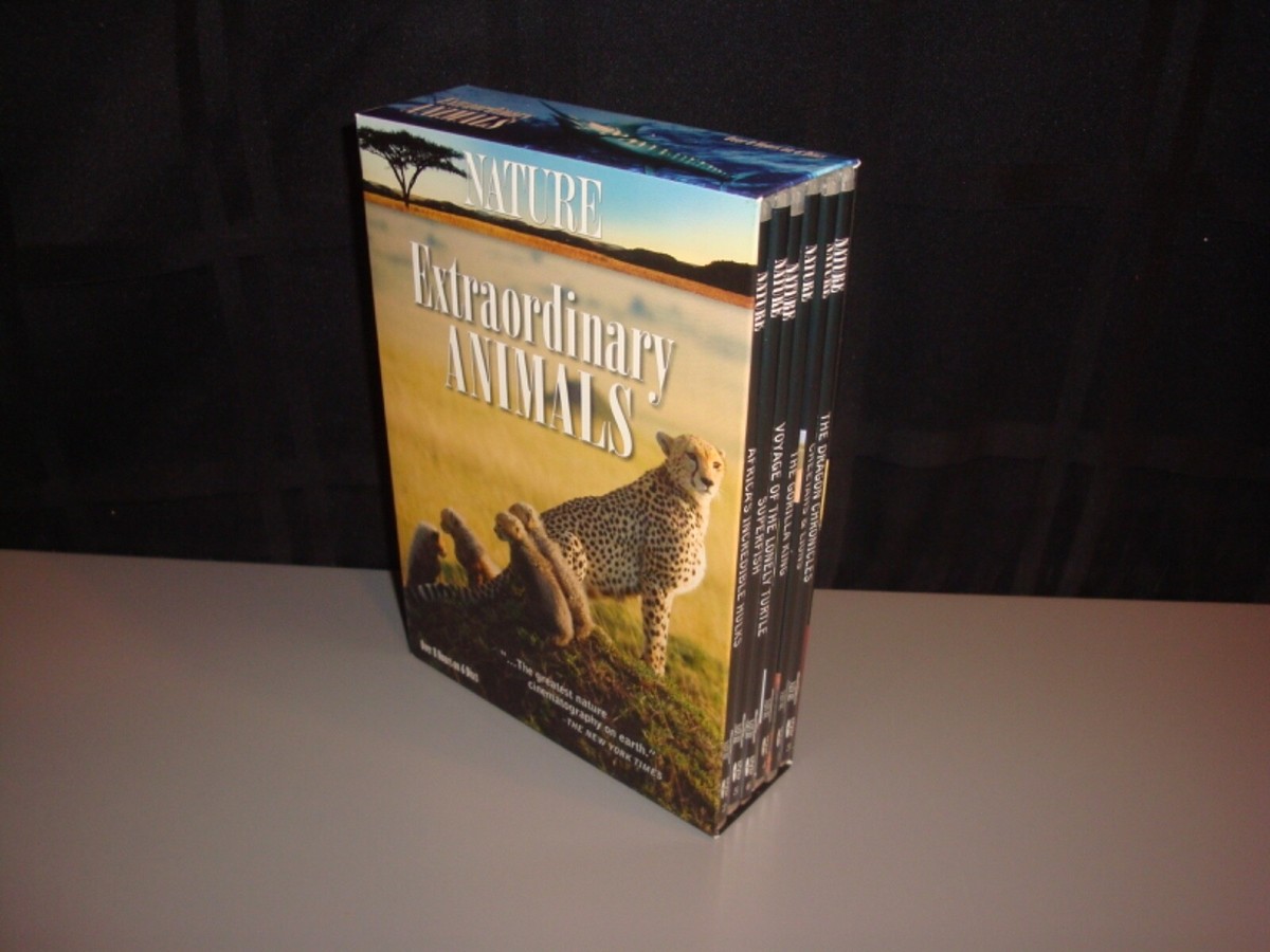Nature Extraordinary Animals 6 DVD Set Questar Homeschool Nature