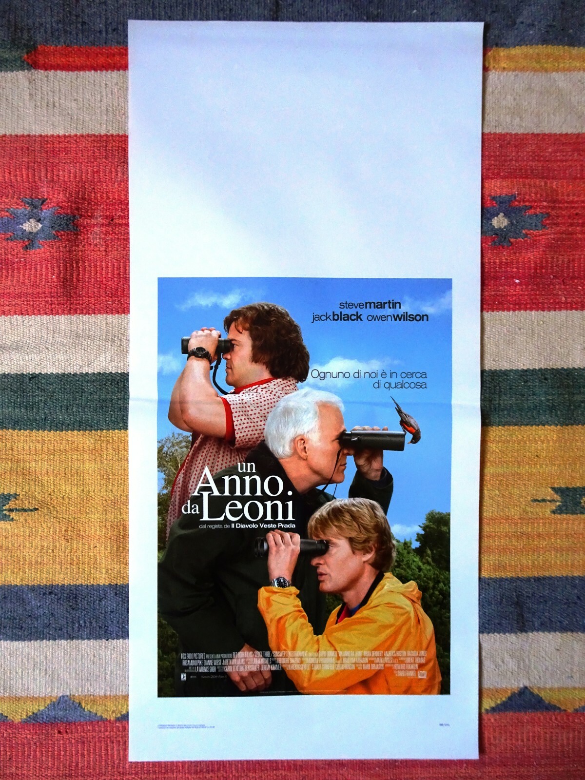 Locandina di Un anno da leoni (2012)