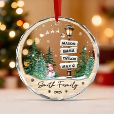 Family Names Christmas Ornament 2025, Personalized Family With Pets Ornaments