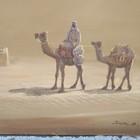 Bild 11 von 17