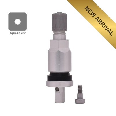 Original Dill TPMS Clamp-In Valve Stems 0.453'' Aluminum   USA Made (20x)