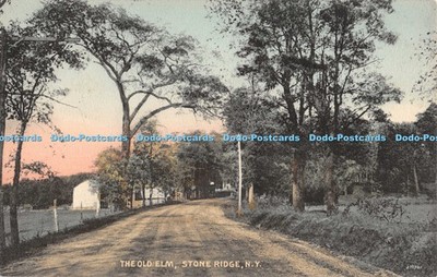R053394 The Old Elm Stone Ridge N Y Frank Davis