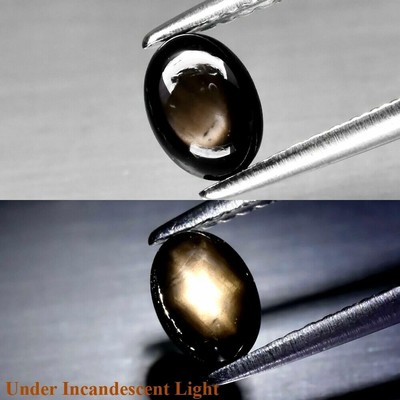 Saphir étoilé Noir Naturel De Thaïlande - 1,03 Carats - Non Chauffé - Dimensions 6,2 X 4,7 Mm