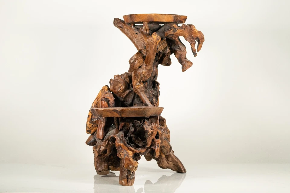 Soporte de exhibición de raíz de teca (19") Foto 3 de 3