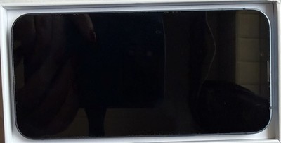 iPhone 13 Pro  256GB Sierrablau ohne Simlock
