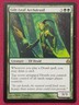 Magic The Gathering MORNINGTIDE GILT-LEAF ARCHDRUID green card MTG