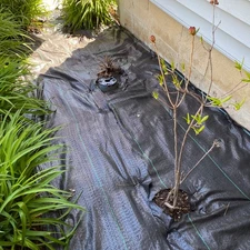 Weed Barrier Fabric, 3.2 OZ Woven Ground Weed Cover, 3*300FT, 4*300FT