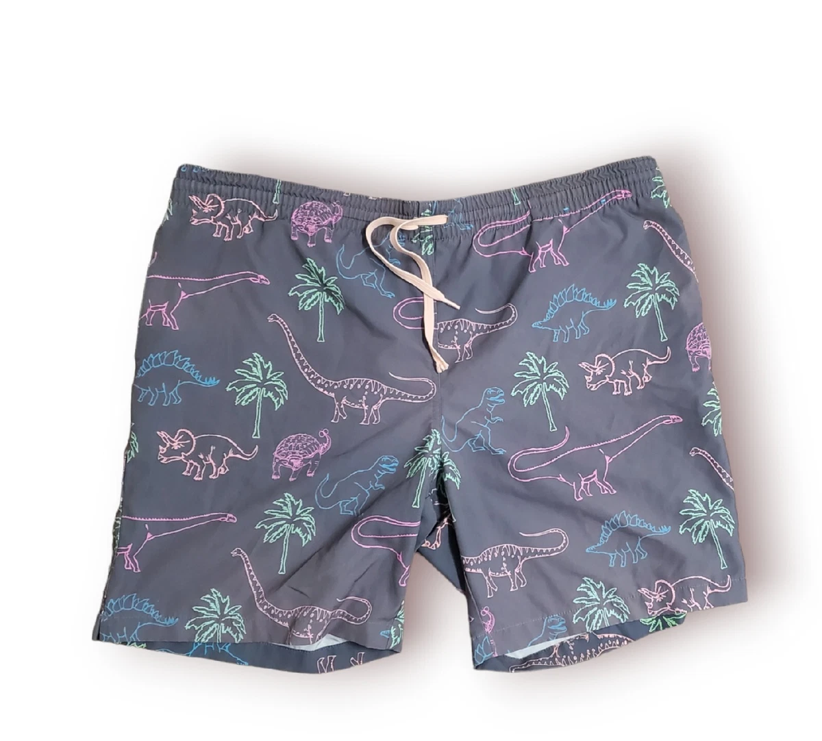 Chubbies dinosaur swim trunks 2025