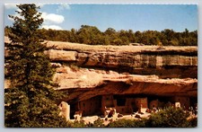 Vtg Postcard Mesa Verde National Park Colorado Spruce Tree Cliff Dwellings Ruin