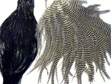 2 cape $40.00