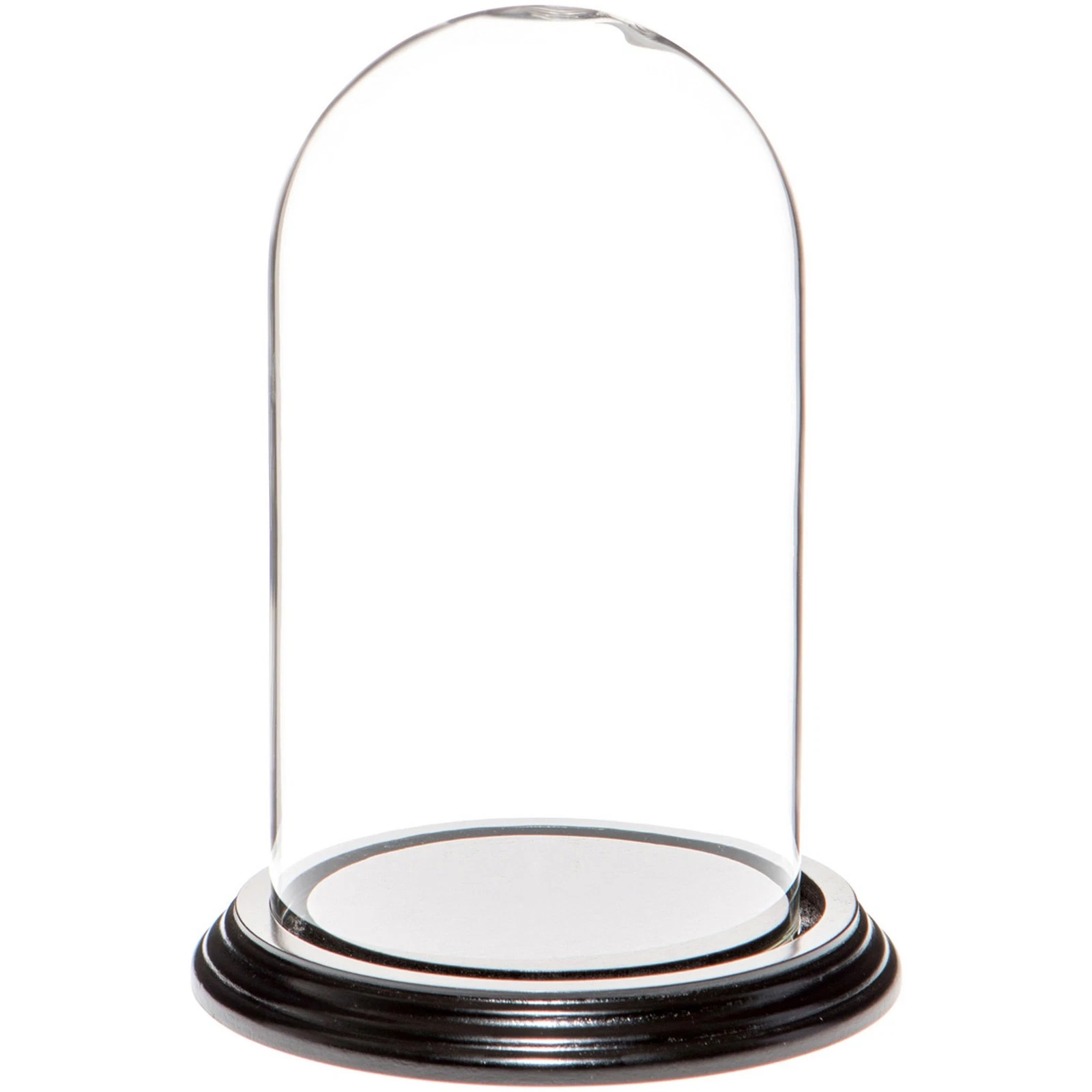 Plymor 4" x 7" Glass Display Dome Cloche (Black Wood Veneer Base)
