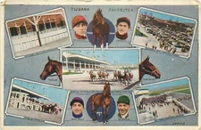 c1930 Tijuana Favorites, Horse Racing, Jockeys and Horses, Mexico Postcard