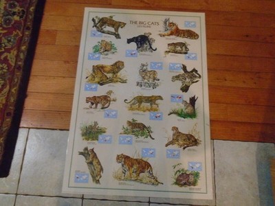 BIG CATS POSTER 1988 Italy Nuova Arti Grafiche Ricordi  Laminated 27 x3 ID:93498