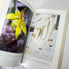 eorgiana Molloy by Bernice Barry The Mind That Shines Biography Botany Collect