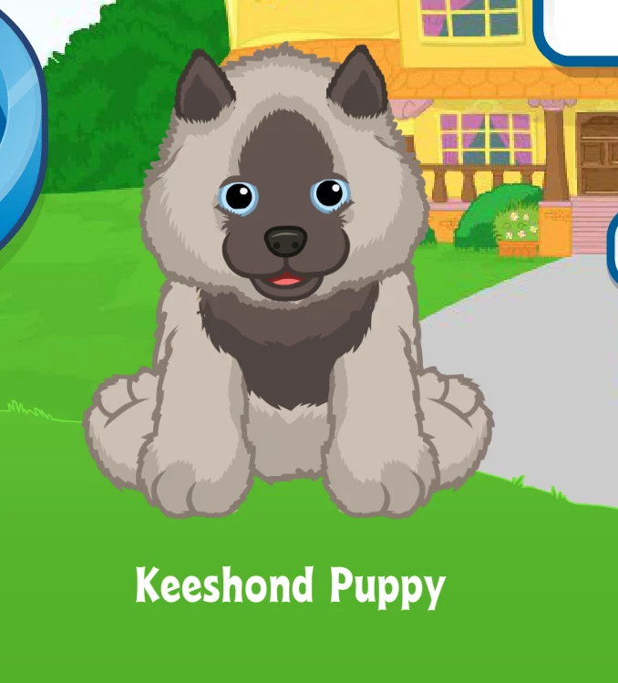 Keeshond stuffed cheap animal