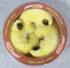 GIANT MICROBES-BOOKWORM PETRI DISH-Stuffed Plush Furniture Beetle Insect Larva