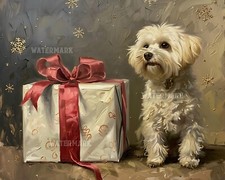 Cane maltese seduto di grande regalo - stampa opaca 8x10